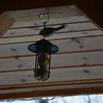 Дом отдыха Pod Zielonym Dachem