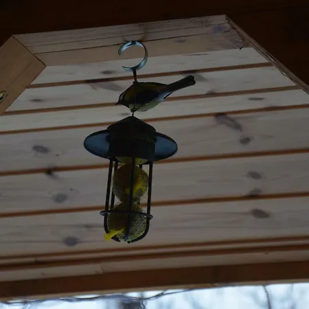 Prázdninový dům Pod Zielonym Dachem