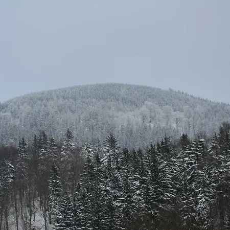 Pod Zielonym Dachem * Kamienna Gora