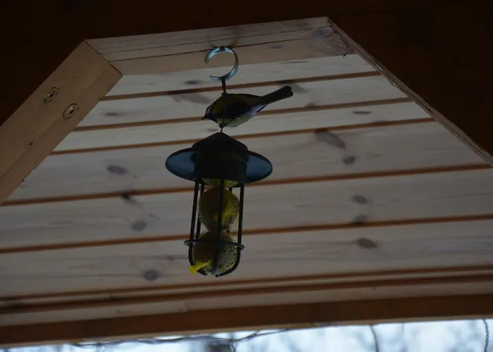 Vakantiehuis Pod Zielonym Dachem