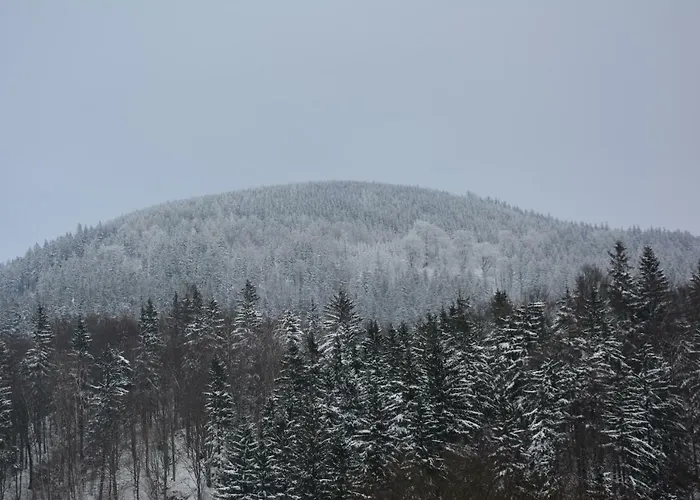 Pod Zielonym Dachem * Kamienna Gora