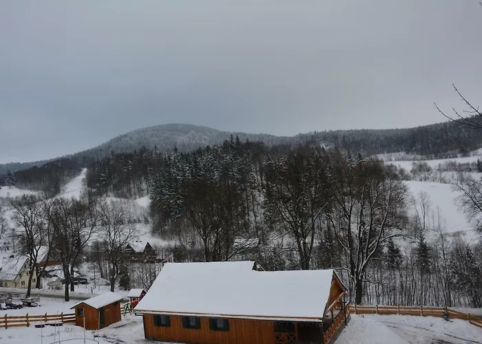 Ferienhaus Pod Zielonym Dachem *